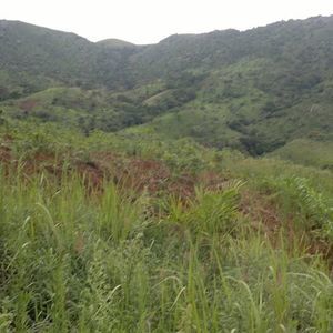 Meet your Posher, Ephraim